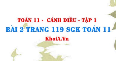 Bài 2 trang 119 SGK Toán 11 tập 1 Cánh Diều